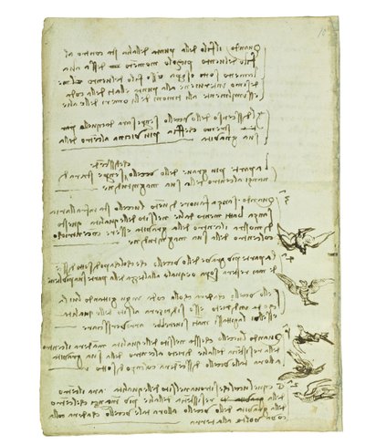 Codex over de vlucht van vogels, Folio 7 verso door Leonardo da Vinci